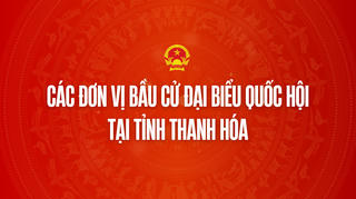 Infographic: Các đơn vị bầu cử đại biểu Quốc hội tại tỉnh Thanh Hóa