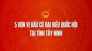 Infographic: 5 đơn vị bầu cử đại biểu Quốc hội tại tỉnh Tây Ninh