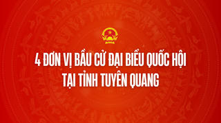 Infographic: 4 đơn vị bầu cử đại biểu Quốc hội tại tỉnh Tuyên Quang