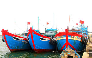 Ngư dân miền Trung chủ động về bờ để đi bầu cử