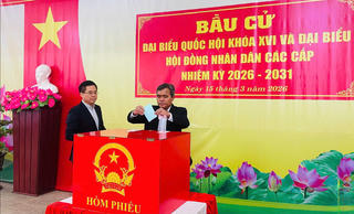 Quảng Ngãi: Lãnh đạo tỉnh cùng người dân đi bầu cử