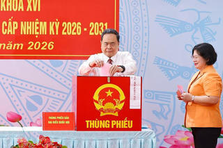 Chủ tịch Quốc hội Trần Thanh Mẫn bỏ phiếu bầu cử đại biểu Quốc hội khóa XVI và HĐND các cấp