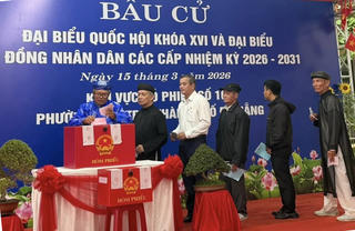 Ngư dân Sơn Trà mong bầu được người có đức, có tài, để yên tâm bám biển