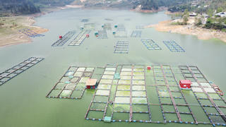 Bao giờ Séo Mý Tỷ mới lại là 'Viên ngọc xanh' giữa đại ngàn Tây Bắc?