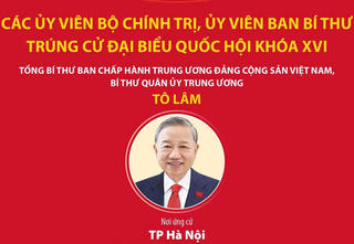 Các Ủy viên Bộ Chính trị, Ủy viên Ban Bí thư trúng cử đại biểu Quốc hội khóa XVI