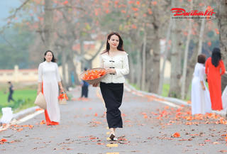 Đoan Nữ rực đỏ mùa hoa gạo