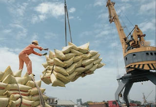 Tìm giải pháp thúc đẩy xuất khẩu gạo