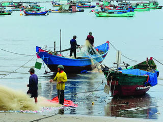 'Bến lưới' trên bãi Tầm Dương