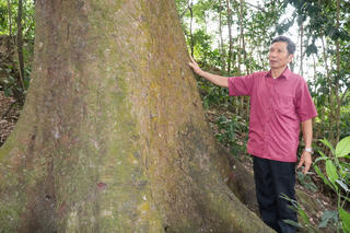 Báu vật sống trên đồi Bích Sơn