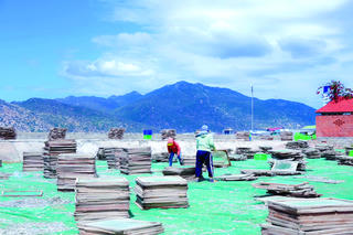 Cà Ná ngày nắng lên                                                      