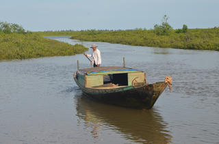 Vườn quốc gia Xuân Thủy: Bảo tồn để phát triển
