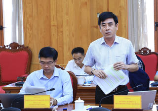 Lâm Đồng: Các đơn vị địa phương khẩn trương hoàn thiện phương án sử dụng đất và quản lý rừng 