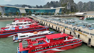 Quảng Ninh: Tăng năng lực vận chuyển khách tuyến Vân Đồn – Cô Tô dịp cao điểm du lịch hè 