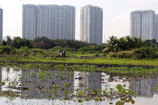 Tiền sử dụng đất được tính từ khi nào?