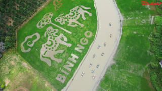 Bức tranh 'song mã chầu báo công' giữa cánh đồng đẹp bậc nhất Việt Nam