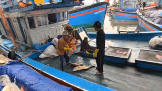 Quảng Ngãi: Cảng Tịnh Hòa rộn ràng khi tàu về đầy cá 