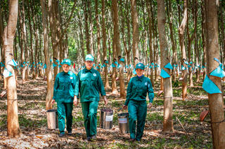 Ngành cao su Việt Nam hướng tới doanh thu 50.000 tỷ đồng/năm