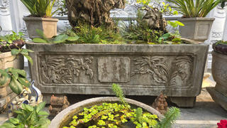 Hồn xưa trong đá cũ