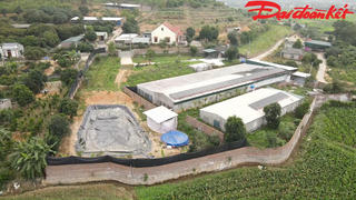 Quảng Ninh: Xử lý dứt điểm trại lợn gây ô nhiễm môi trường