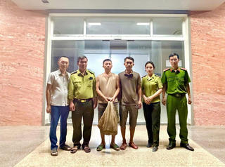 Quảng Trị: Tiếp nhận 2 cá thể tê tê quý hiếm từ người dân