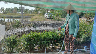 Cà Mau : Giải “khát” nước sạch cho người dân vùng hạn mặn