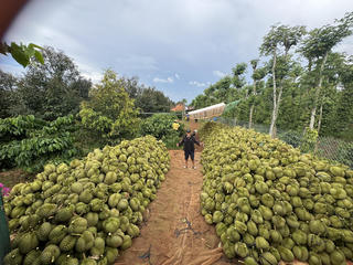 “Chìa khóa” phát triển chuỗi giá trị bền vững