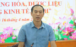 Phát triển nông nghiệp hàng hóa dược liệu theo hướng kinh tế xanh