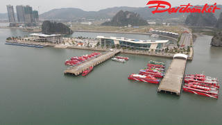 Quảng Ninh: Đồng hành cùng các đơn vị vận tải vượt ‘bão giá’ năng lượng