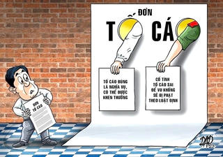 Cần xử lý nghiêm hành vi tố cáo sai sự thật