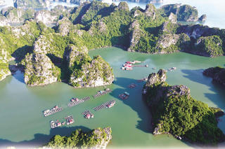 Chính phủ phê duyệt nhiệm vụ lập Quy hoạch bảo tồn, phát huy tiềm năng vịnh Hạ Long