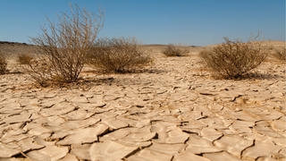 Sa mạc hóa lan rộng trên thế giới