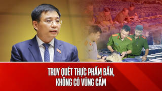 Phó Thủ tướng Nguyễn Văn Thắng: Chính phủ sẽ truy quét thực phẩm bẩn