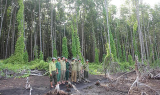 Cà Mau: Hơn 20.000 ha rừng có nguy cơ cháy nguy hiểm
