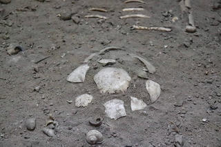 Về nơi lưu giữ bộ xương người tiền sử hơn 7.500 năm 