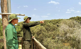 Đồng Tháp: Tràm Chim, Gò Tháp giữ rừng mùa khô siết chặt phòng cháy