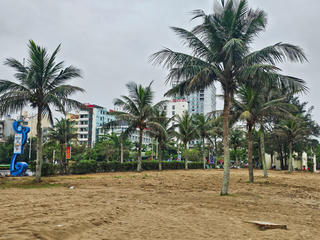 Phủ xanh bãi biển Sầm Sơn