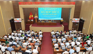 Quảng Ngãi: Gần 83ha rừng Măng Đen được chuyển đổi phục vụ dự án khu đô thị