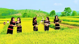 Vùng cao Quảng Ngãi sẵn sàng đón khách trong dịp lễ 30/4 và 1/5