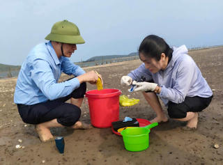 Hà Tĩnh: Bước đầu xác định nguyên nhân ngao chết hàng loạt