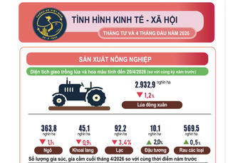 Infographic: Tình hình kinh tế - xã hội tháng Tư và 4 tháng đầu năm 2026