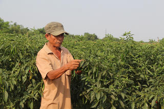 Nghịch lý được mùa, mất giá