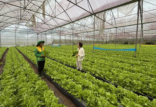 Khơi thông dòng vốn tín dụng cho nông nghiệp xanh và số