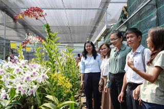 TP Hồ Chí Minh triển khai 88 mô hình khuyến nông, thúc đẩy sản xuất xanh
