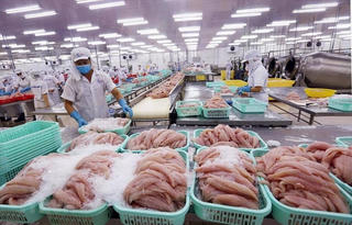 Xuất khẩu thủy sản: Hướng đến mục tiêu 12 tỷ USD