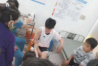 Nghệ An: Chó dương tính vi rút dại sau khi cắn nhiều người 