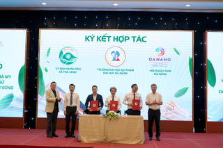 Đà Nẵng: “3 nhà” giúp nâng cao giá trị quế Trà My
