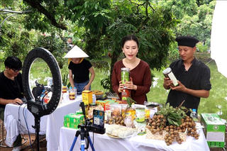 Khi đặc sản vùng cao “lên sàn”