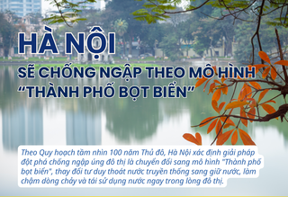 [Infographic] Hà Nội sẽ chống ngập theo mô hình "Thành phố bọt biển"
