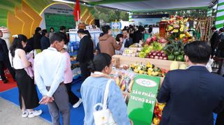 Đẩy mạnh tiêu thụ nông sản qua hệ thống bán lẻ hiện đại