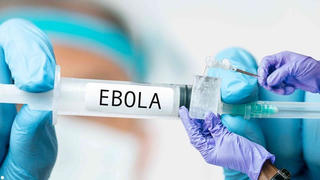 Lâm Đồng: Tăng cường phòng, chống dịch bệnh Ebola